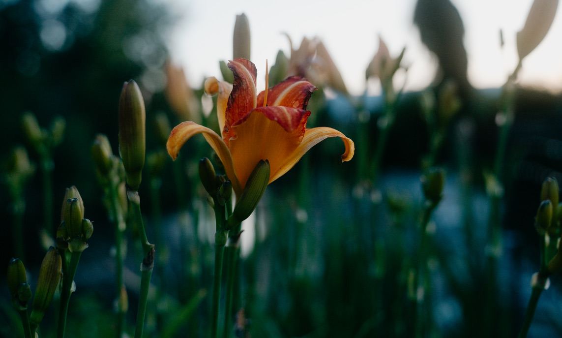 Photography Services